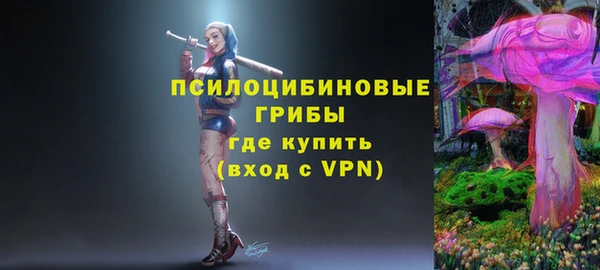 MDMA Premium VHQ Зеленодольск