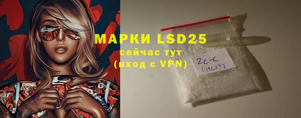 спайс Кедровый