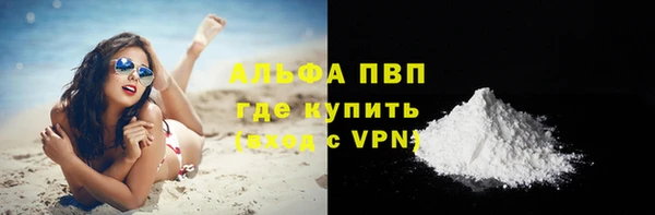ALPHA PVP Кемь