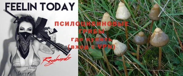 MDMA Premium VHQ Зеленодольск
